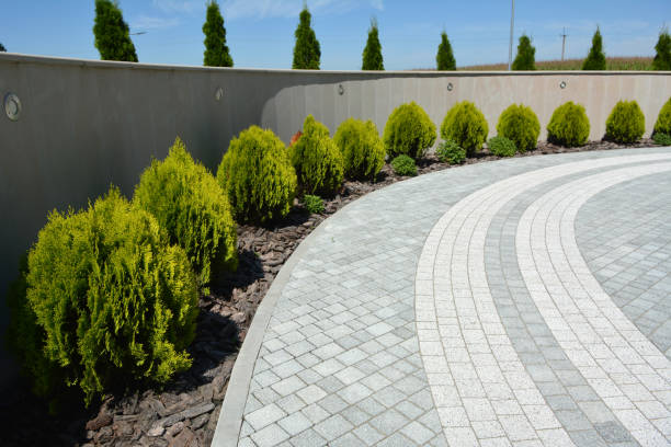 Best Affordable Driveway Paving  in Winfield, TN